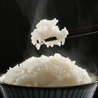 2023新米 羊脂籽米新疆大米1kg玉芽胚芽米长粒香米粳米真空小包装