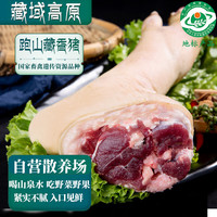 卡拉达藏香猪 猪蹄1kg 藏区3000米海拔散养 猪手猪蹄 黑猪肉 源头直发