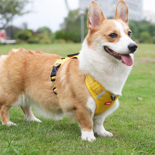 防爆冲背心式狗狗牵引绳中大型犬金毛柯基柴犬可调节胸背带遛狗绳