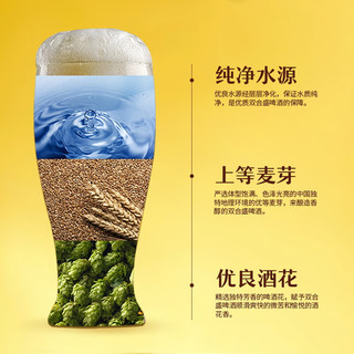 双合盛 精酿啤酒 德式小麦老北京品牌 500ml*6瓶 瓶装整箱装 年货