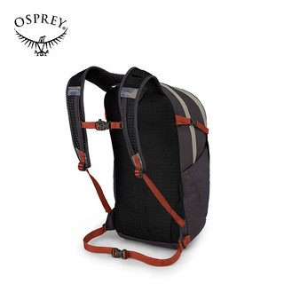 OSPREY 小鹰 Daylite Plus日光+20升多功能双肩包户外旅游通勤电脑包 F23蓝灰印花