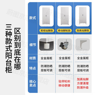 蔚图京冠阳台柜储物柜家用钢制防潮防晒夹缝置物柜多层带锁收纳柜铁皮衣柜 2000高*800宽*500深mm双门