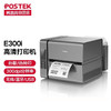 博思得（POSTEK） E200标签条码打印机快递单热敏打印机二维码不干胶服装吊牌洗水唛碳带打标机 E300i【U+串口+wifi+蓝牙】-含标签碳带