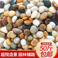 大海边【当日速发】50斤鹅卵石铺路铺地庭院园林造景天然大小石头雨花石 【50斤装精抛五彩】2.0-3.0cm