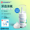 严迪 YANDY 氟化泡沫 正畸含氟牙膏成人儿童涂氟 牙齿涂氟剂防蛀龋 氟化泡沫10g薄荷味 +XL牙托