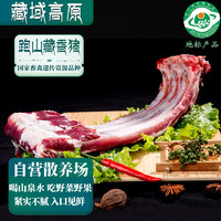 卡拉达藏香猪 排骨800g 藏区3000米海拔散养 含肋排清蒸烧烤  源头直发