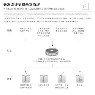 哈恩聚天冬氨酸女士护发柔顺发膜护发素女柔顺顺滑护理发膜 女士发膜+角鲨浣护发精油