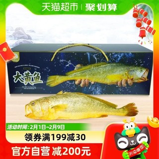 88VIP：MIN XIA 闽峡 冷冻生鲜深海野化大黄鱼1只/箱1.8~2斤礼盒装黄花鱼新鲜海捕