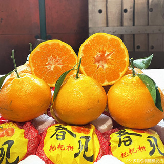 四川春见耙耙柑橘子粑粑柑10斤新鲜水果当季丑桔子杷杷柑