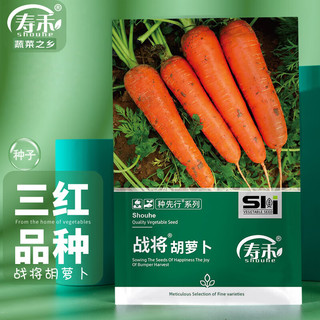 寿禾 三红胡萝卜种子水果罗卜籽蔬菜籽  潍育系列战将胡萝卜种子十克