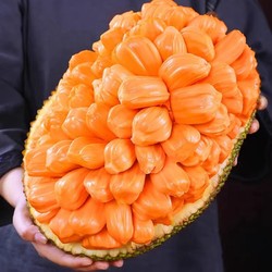 果园密码 越南红肉菠萝蜜热带水果菠萝蜜顺丰包邮