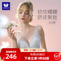 华歌尔Wacoal蓝标糯糯杯聚拢上抬无钢圈文胸内衣女小胸聚拢文胸罩 豆乳白 70C 32/70C