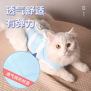 Hoopet 猫咪绝育服手术衣服猫猫断奶戒奶服防舔公猫术后服宠物绝育服母猫