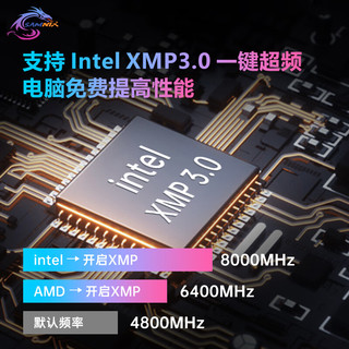 SK hynix 海力士 新乐士（SAMNIX）台式机内存条 48GB(24GBx2)DDR5 8000Mhz C40 黑灰 RGB灯条 海力士M-die 幻影王者电竞游戏