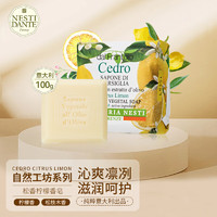 NESTI DANTE 内斯蒂丹特 自然工坊系列松香柠檬沐浴皂 100g