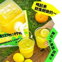 88VIP：Lemon Republic 柠檬共和国 汁香柠胡柚汁复合果2L/盒露营分享装