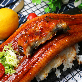 日式蒲烧鳗鱼加热即食碳烤鳗鱼饭鲜活河鳗鱼新鲜整条切段500g商用