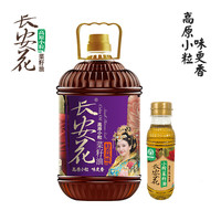 长安花 特香风味菜籽油5.4L食用油非转基因油家用压榨油纯菜油小粒菜籽油 长安花特香5L