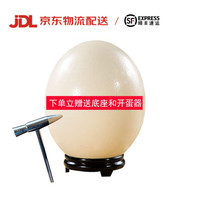 蔬香客 春节不打烊鸵鸟蛋 2.8-3斤左右 普通装 新鲜特大禽蛋 鸸鹋蛋 