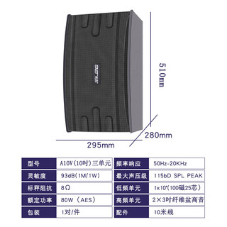 先科（SAST）10英寸家庭影院ktv音响套装家用k歌电脑电视客厅卡拉ok全套会议室卡包专业功放音箱设备 10寸会议套装