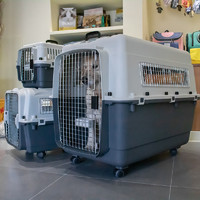 复必安 国航宠物航空箱猫咪狗狗便携外出大型中型犬托运箱车载狗笼子