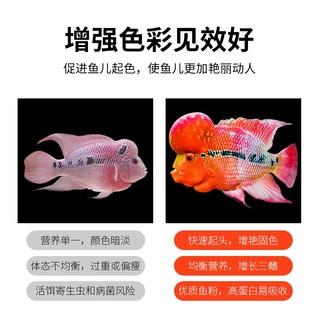 仟湖 仟湖 OF 罗汉鱼饲料罗汉鱼粮增艳鱼食罗汉鱼苗迷你小颗粒上浮型 红瑞神