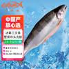 龙羊峡国产(虹鳟)青海三文鱼整条2.6-3kg 带头去脏 生鲜鱼类 年货礼盒 冰鲜整条礼盒2.6- 3kg