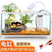 Gong Du 共度 乌龟缸生态缸造景养