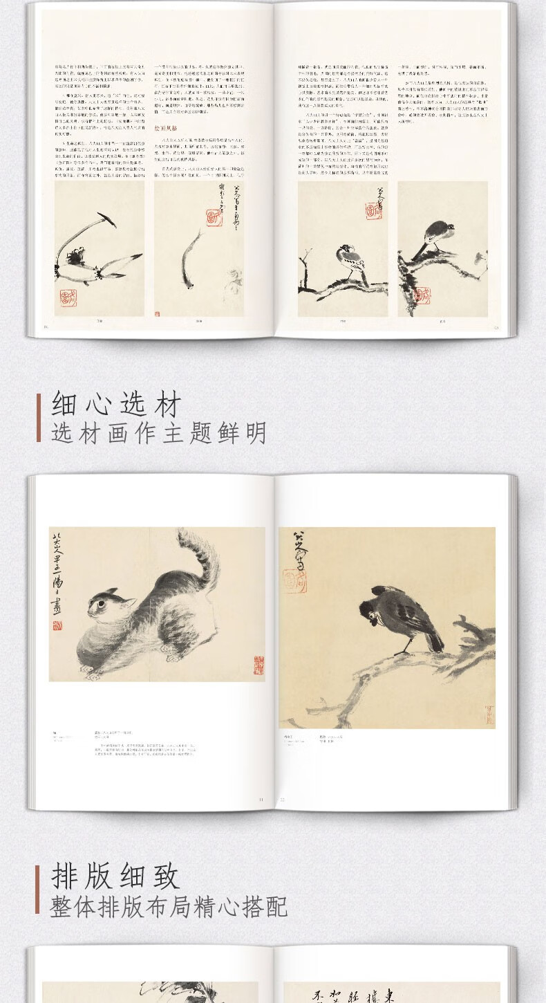 八大山人画集8开中国画临摹画册书籍写意水墨国画山水花鸟鱼虫技法教材