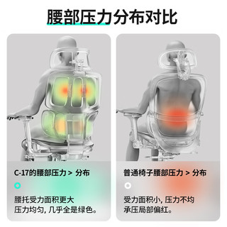 联丰C-17人体工学椅 久坐舒适电脑椅办公椅 腰背坐深可调电竞椅老板椅 C-17灰框灰网/无搁脚