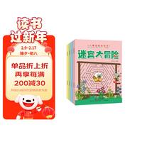 迷宫大冒险（套装共4册）左右脑全脑思维大开发 儿童益智游戏书