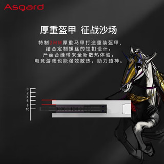 Asgard 阿斯加特 32GB套装 DDR4 3600 台式机内存条 女武神·瓦尔基里系列 RGB灯条