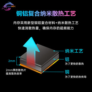 新乐士（SAMNIX）台式机内存条 48GB(24GBx2)DDR5 6800Mhz C34 黑灰 RGB灯条 海力士M-die 幻影王者电竞游戏