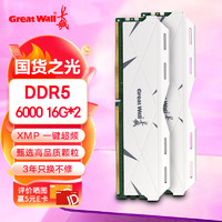 Great Wall 长城 32G(16G*2)套条 DDR5 6000 马甲条 台式机内存条