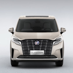 BUICK 别克 GL8 ES 陆尊 653T 舒适型 香槟金