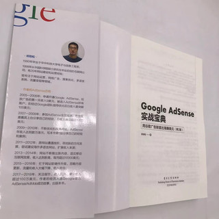 Google AdSense实战宝典：用谷歌广告联盟出海赚美元（第2版）(博文视点)