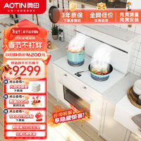 AOTIN 奥田 ZKD3白色集成灶蒸烤一体家用蒸箱烤箱燃气灶一体灶 白色 天然气