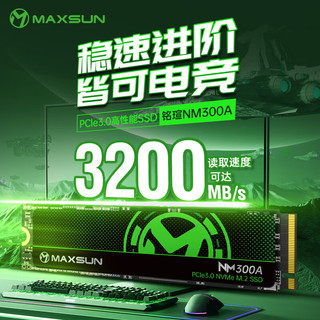 铭瑄（MAXSUN）256GB SSD固态硬盘M.2接口(NVMe协议) 3200MB/s 300A系列