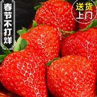 正宗丹东99草莓 500g 中小果(单果25g以下) 