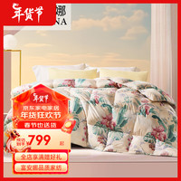 富安娜(FUANNA)印花防羽鹅绒被 保暖防钻绒鹅绒被子 苏幕遮印花鹅绒冬厚被 1.2m(152*210cm)