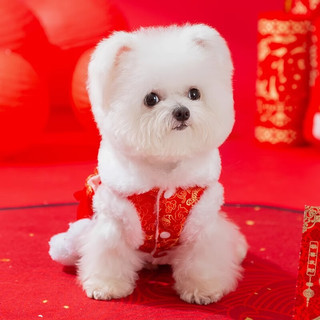 嬉皮狗（hipidog）新年福包小狗狗衣服冬季比熊泰迪小型犬冬宠物秋冬款过年挎包棉衣 喜庆舞狮 M （5-8斤）