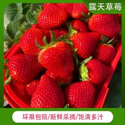 开春福利款！！ 红颜草莓 2.5斤装（单果30mm+)