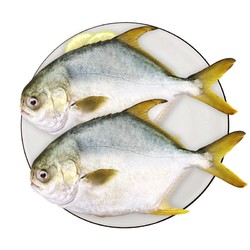 UNIVERSAL 环球水产 金鲳鱼700g 2条 BAP认证生鲜 鱼类深海鱼 轻食