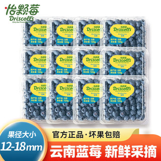 Driscoll's Only the Finest Berries 怡颗莓 Driscoll's云南蓝莓新鲜水果125g/盒 12盒12mm-18mm