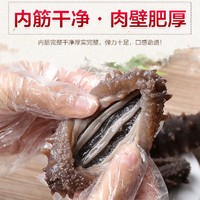 年货不打烊：东上御品 9年淡干海参10倍泡发干货野生底播大连鲜活刺参辽参礼盒