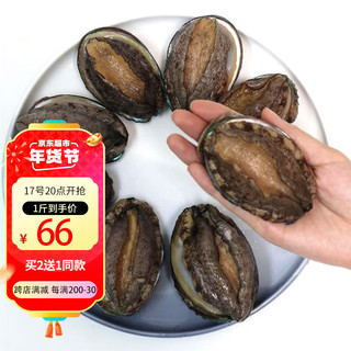 鲟食活冻大鲍鱼新鲜福建九孔鲍鱼国产 海鲜水产烧烤食材 500g/6-8头【大个头】