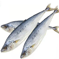 九味天 广西北海马鲛鱼干 咸鱼干500g海鱼干海鲜海产干货约4-6条 1斤