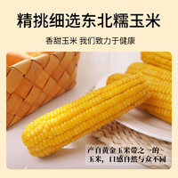 东北 新鲜糯玉米黏玉米真空包装