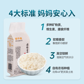米小芽 儿童辅食大米粥450g_ 胚芽米4袋