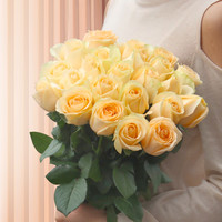 家顺 随机颜色玫瑰 5支